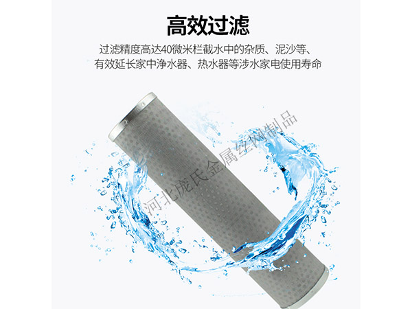 前置过滤器不锈钢滤芯图片2